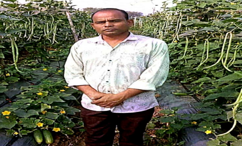 CG : फसल परिवर्तन से बढ़ा उत्पादन और मुनाफा