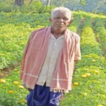 CG : धान से गेंदा की खेती की ओर बढ़े, कमाया 3.96 लाख …