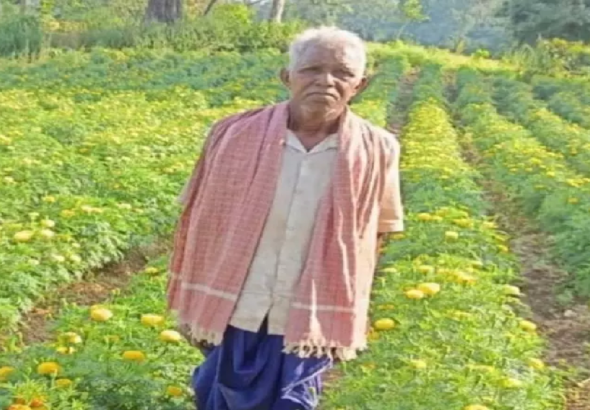 CG : धान से गेंदा की खेती की ओर बढ़े, कमाया 3.96 लाख …