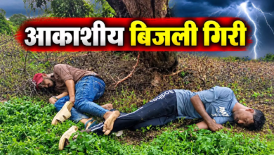CG : आसमान से मौत बनकर गिरी बिजली, बारिश से बचने पेड़ के नीचे खड़े थे दो युवक …