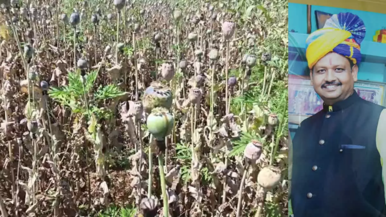 CG : अफीम खेती कांड में बीजेपी नेता को राहत, 5 महीने से जेल में बंद विनायक ताम्रकार को जमानत …