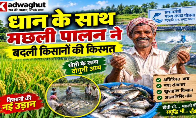 CG : धान के साथ मछली पालन ने बदली किसानों की किस्मत …
