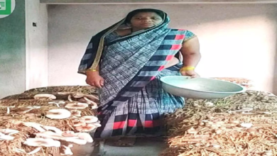 CG : गरीबी से जुझ रही 14 महिलाओं ने समूह बनाकर आजीविका की नई राह गढ़ी …