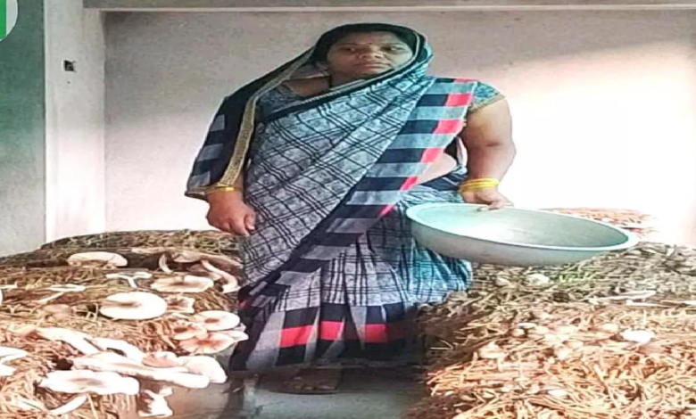 CG : गरीबी से जुझ रही 14 महिलाओं ने समूह बनाकर आजीविका की नई राह गढ़ी …