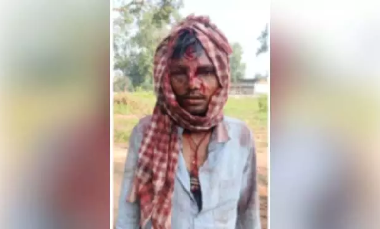 CG : जंगल में मौत से सामना! अचानक सामने आए 4 भालू, फिर …