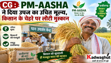 CG : PM-AASHA ने दिया उपज का उचित मूल्य, किसान के चेहरे पर लौटी मुस्कान …