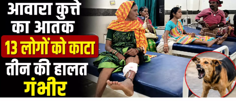 CG : आवारा कुत्ते का आतंक 13 लोगों को काटा तीन की हालत गंभीर …