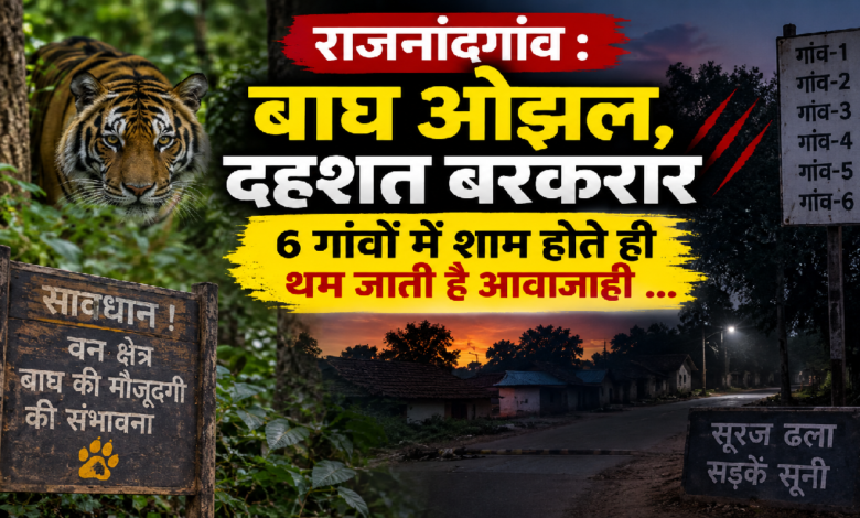 राजनांदगांव : बाघ ओझल, दहशत बरकरार, 6 गांवों में शाम होते ही थम जाती है आवाजाही …