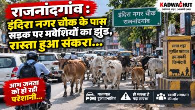 राजनांदगांव : इंदिरा नगर चौक के पास सड़क पर मवेशियों का झुंड, रास्ता हुआ संकरा…