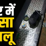 CG : घर में घुसा भालू, …
