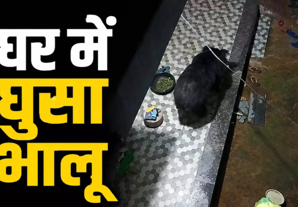 CG : घर में घुसा भालू, …