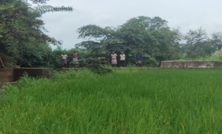 CG : किसानों के लगभग 30 एकड़ खेतों में मिली सिंचाई की सुविधा