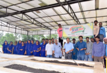 CG : एनआईबीएसएम में सामुदायिक कम्पोस्टिंग पर जनभागीदारी जागरूकता अभियान …