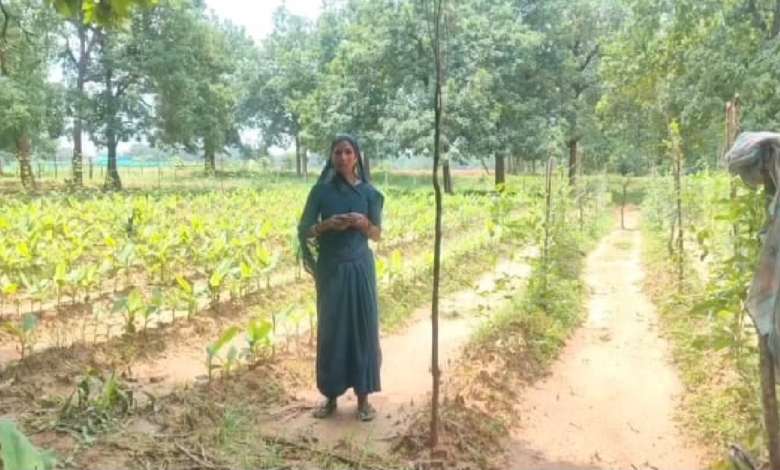 सेवा संकल्प अब अभियान : खेती को नया आयाम, 25 किसानों की बदली खेती की तस्वीर ...