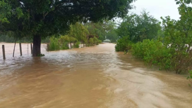 CG : बस्तर में भारी बारिश से हालात बिगड़े …