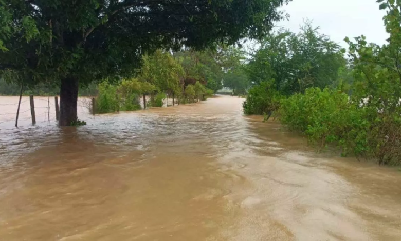 CG : बस्तर में भारी बारिश से हालात बिगड़े …