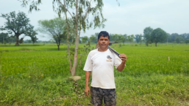 पीएम किसान सम्मान निधि से खेती को मिला सहारा, किसान दशरथ राठौर हुए आत्मनिर्भर ...