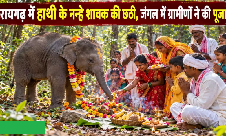 CG : रायगढ़ में हाथी के नन्हे शावक की छठी, जंगल में ग्रामीणों ने की पूजा …