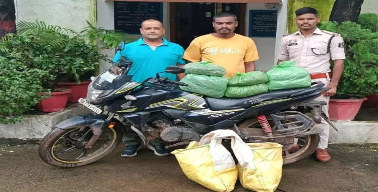 CG: उड़ीसा से गांजा लाकर घर से बेचता था, आरोपी गिरफ्तार …
