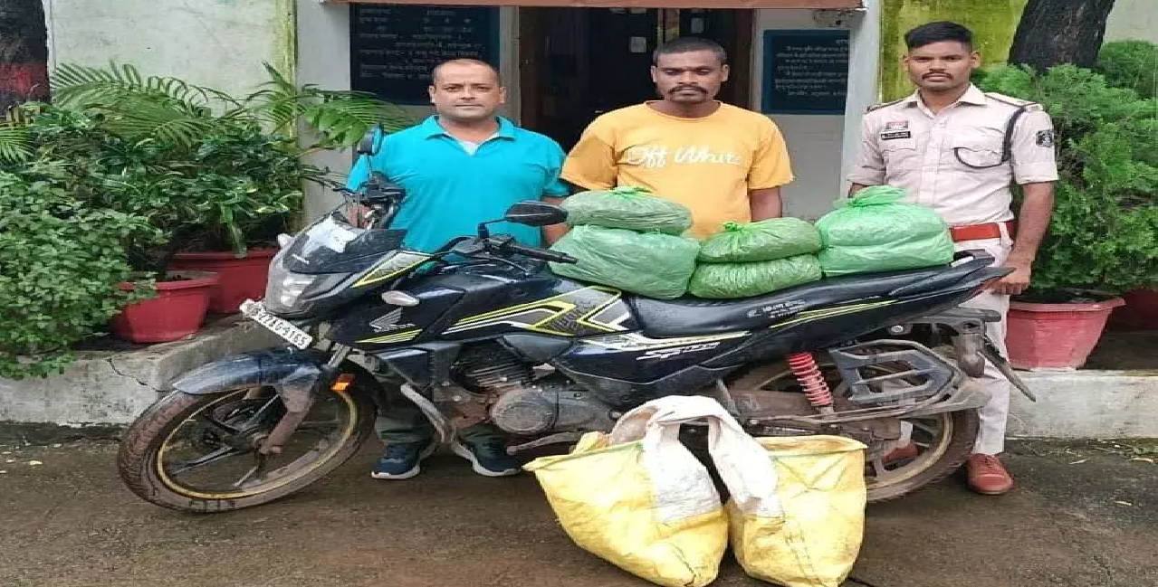 CG: उड़ीसा से गांजा लाकर घर से बेचता था, आरोपी गिरफ्तार …