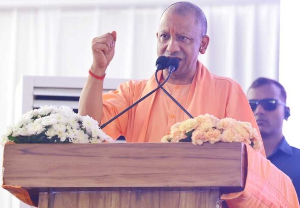 Yogi_01-1.jpg