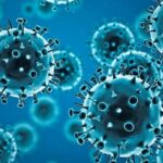 coronavirus-