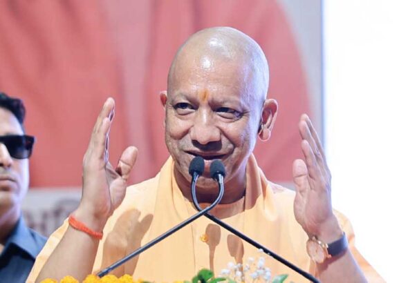 yogi-2.jpg