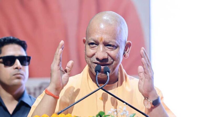yogi-6.jpg