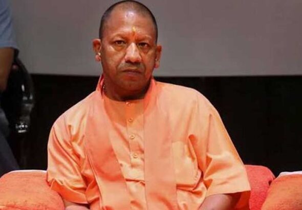 yogi_02.jpg