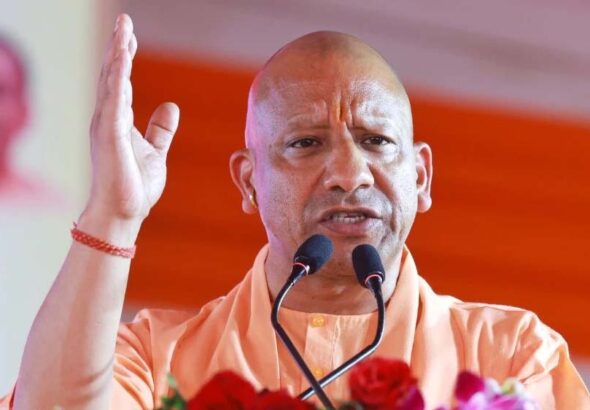 yogi_31_2.jpg