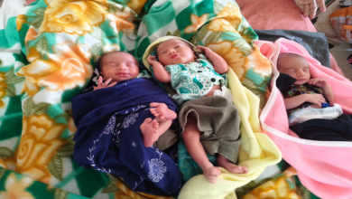 राजनांदगांव : मेडिकल कॉलेज में महिला ने एक साथ तीन बच्चों को दिया जन्म, जच्चा-बच्चा सभी स्वस्थ...