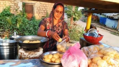 राजनांदगांव : महतारी वंदन योजना की राशि से आशा विश्वकर्मा ने शुरू किया गुपचुप का व्यवसाय...