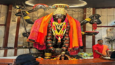 राजनांदगांव : मां पाताल भैरवी मंदिर में हुआ हवन, महाआरती आज...
