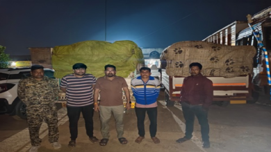 CG : झारखंड से अवैध धान परिवहन करते दो पिकअप जब्त...