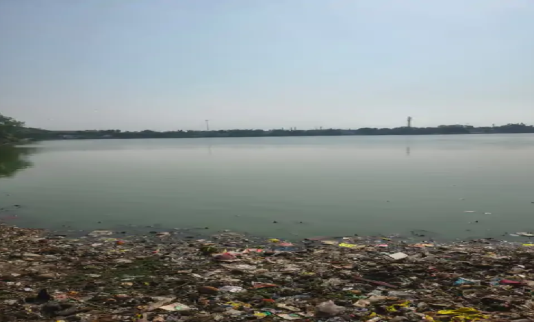 राजनांदगांव : रानी सागर तालाब में फेंका जा रहा कचरा, गंदगी से पट रहा तालाब...