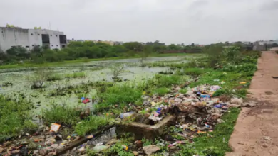 राजनांदगांव : कॉलोनियों में बारिश का पानी जाम, मच्छरों का प्रकोप बढ़ा…