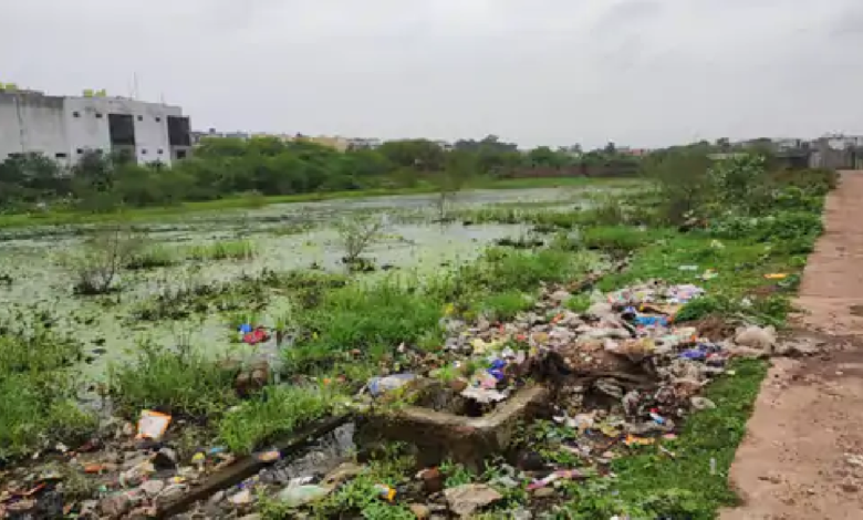 राजनांदगांव : कॉलोनियों में बारिश का पानी जाम, मच्छरों का प्रकोप बढ़ा…