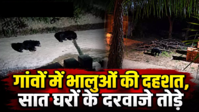 CG : गांवों में भालुओं की दहशत, सात घरों के दरवाजे तोड़े …