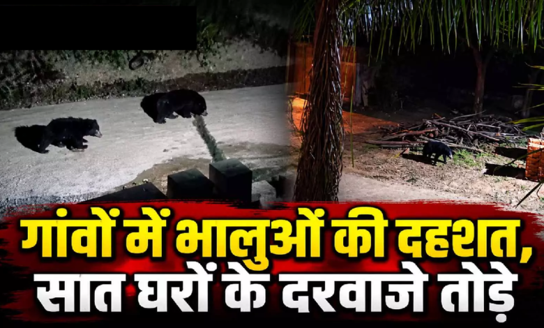 CG : गांवों में भालुओं की दहशत, सात घरों के दरवाजे तोड़े …