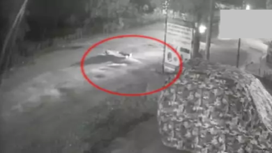 CG : सड़क पर लेटे युवक को कार ने कुचला, CCTV फुटेज में दिखा पूरा घटनाक्रम …