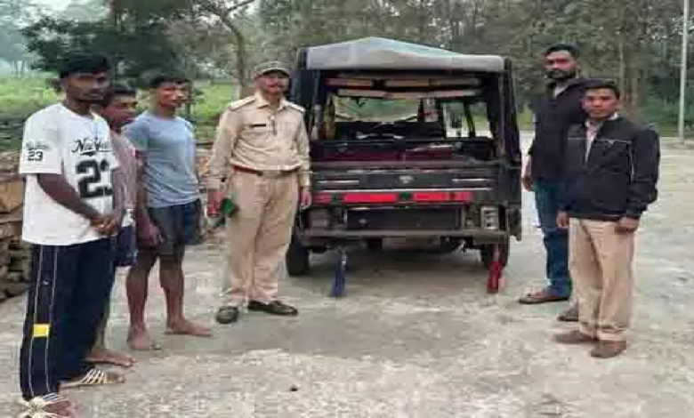 CG : सुकमा में काष्ठ तस्करी पर वन विभाग की कार्रवाई, 48 नग लकड़ी और ऑटो जब्त …