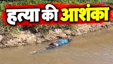 CG : सुबह-सुबह नाले में दिखा ऐसा मंजर…इलाके में सनसनी …