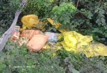 CG : छत्तीसगढ़ में गांजा तस्करी पर बड़ा वार, दो जिलों से 341 KG गांजा जब्त …