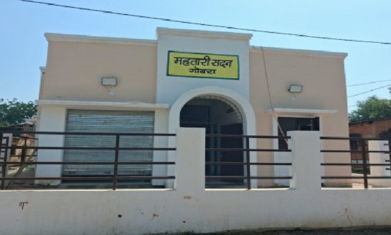 CG : महतारी सदन से मिलेगा प्रशिक्षण और स्वरोजगार के अवसर …