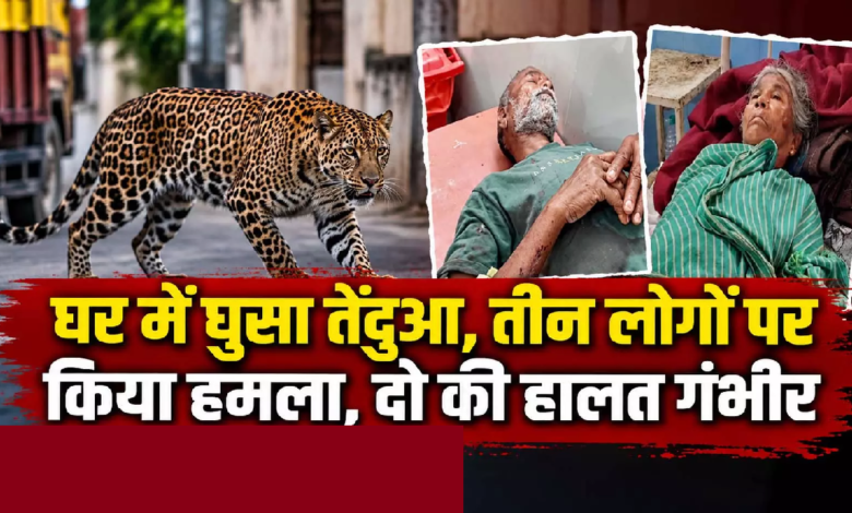 CG : घर में घुसा तेंदुआ, तीन लोगों पर किया हमला, दो की हालत गंभीर …