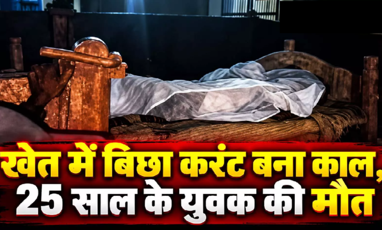 CG : खेत में बिछा करंट बना काल, 25 साल के युवक की मौत …