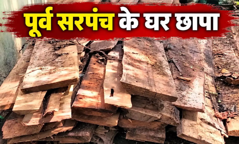 CG : पूर्व सरपंच के घर मिला लाखों का सागौन, पुलिस और वन विभाग ने की कार्रवाई …
