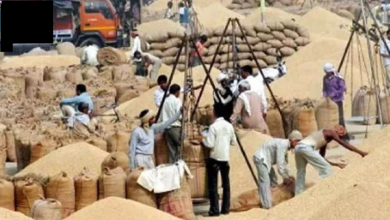 CG : छत्तीसगढ़ में 15 नवंबर से धान खरीदी की तैयारी; किसानों के लिए टोकन, यहां देखें पंजीयन और 21 क्विंटल का नियम …