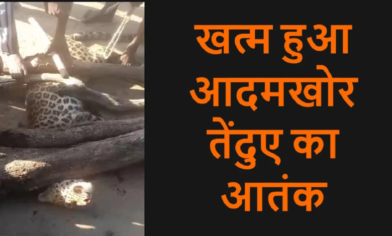 CG : तेंदुए का आतंक खत्म! 2 दिन में 19 ग्रामीणों को किया था घायल, इलाके में मिली राहत …