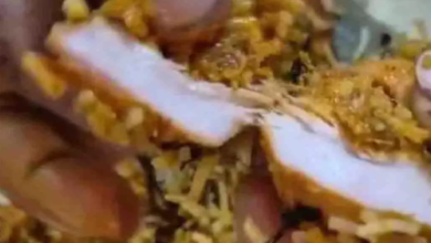 CG : बिलासपुर में शाकाहारी परिवार ने Zomato से मंगवाई पनीर बिरयानी, निकला चिकन! …